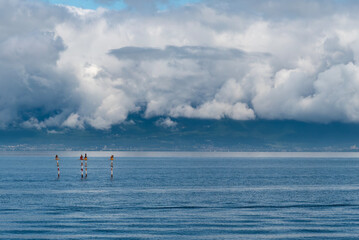 夏の朝　琵琶湖湖西の山に立ちこめる雲　滋賀県近江八幡市琵琶湖岸からの風景