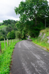 Fototapeta na wymiar Rural road in the Asturian mountains. Asturias - Spain