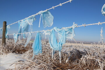 Pollution and littering are environmental issues shown in this image as torn shards of blue plastic stuck to a barbed wire fence.