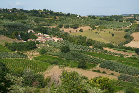 Rural landscape near Foligno and Montefalco, Umbria, Italy, at summer