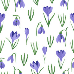 Seamless spring flowers pattern with crocus and snowdrop. Vector watercolor illustration