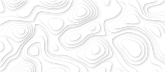 Abstract white background with paper cut out layers .Luxury paper cut background, Abstract decoration .Vector illustration. Material design. Paper cutting texture. Applicable for business banner.