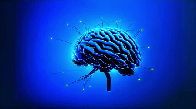 3D Animation of Glowing Human Brain with Neural Connections
