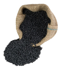 beluga lentils