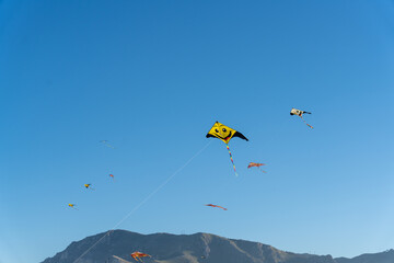 A group of kites are flying in the sky, with one of them having a yellow face
