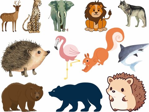 A collection of animal in vector photo ,set of animals