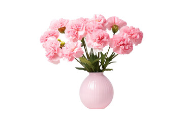 Pink Carnations in White Vase on isolated