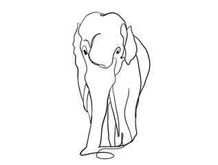 abstract single line art of an asian male elephant on transparent background clip art