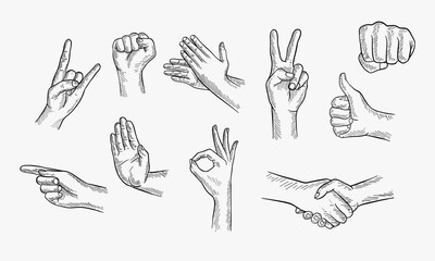 Hand drawn Set of different gestures hand, signs and signals. Handshake, ok, stop, pointing, victory, applause, fist, rock roll gesture. Outline vector illustration on white background.
