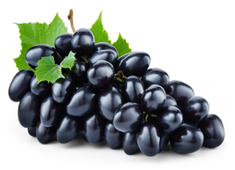 Grapes transparent PNG. Black grapes isolated on transparent or white background. Black grape with leaves.