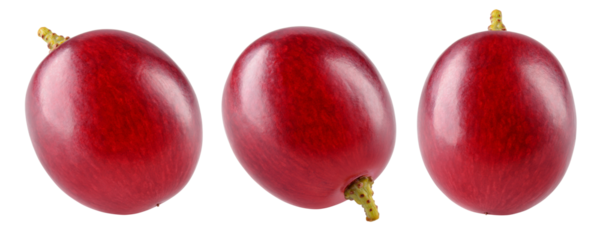 Grape top view. Three red grapes isolated on transparent or white. Fresh red grape macro. Grapes transparent PNG.