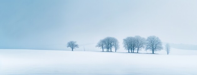 Serene Snowy Landscape with Bare Trees