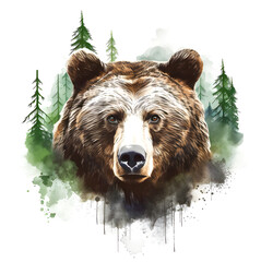 Drawing of a brown bear portrait. Stylized illustration of a grizzly bear.