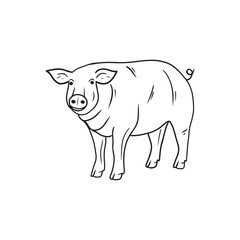 Realistic pig standing in black isolated on white background. Hand drawn vector sketch doodle illustration in engraved vintage line art style. Concept of domestic farm animals, pork, meat, food.