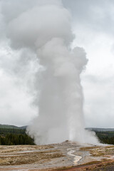 : Old Faithful erupting in Yellowstone National Park during autumn in Wyoming, USA