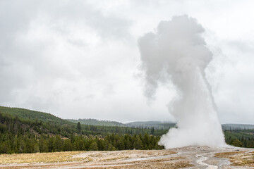 : Old Faithful erupting in Yellowstone National Park during autumn in Wyoming, USA