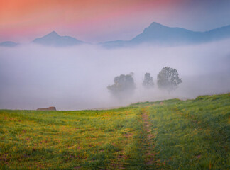 Misty dawn on mountain farmland with mountain path. Astonishing summer view of Carpathian mountains with two highest peaks Hoverla and Petros, Ukraine. Beauty of nature concept background..