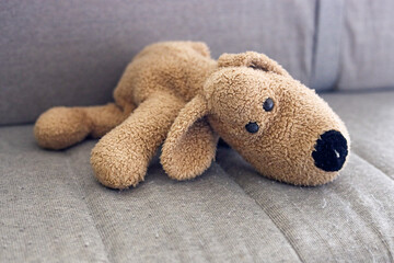 A left-behind stuffed animal. The dog plushie has been forgotten; it sits alone on a bench in the waiting room.