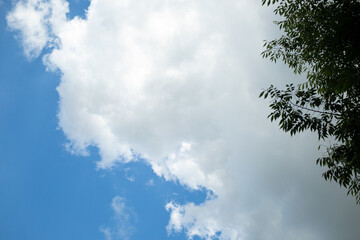 blue sky with clouds