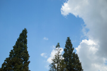 blue sky with clouds