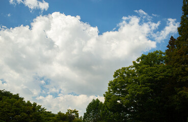 blue sky with clouds