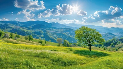 Fototapeta na wymiar beautiful countryside of romania. sunny afternoon. wonderful springtime landscape in mountains. grassy field and rolling hills. rural scener