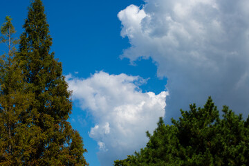 blue sky with clouds