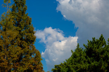 blue sky with clouds