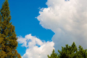 blue sky with clouds