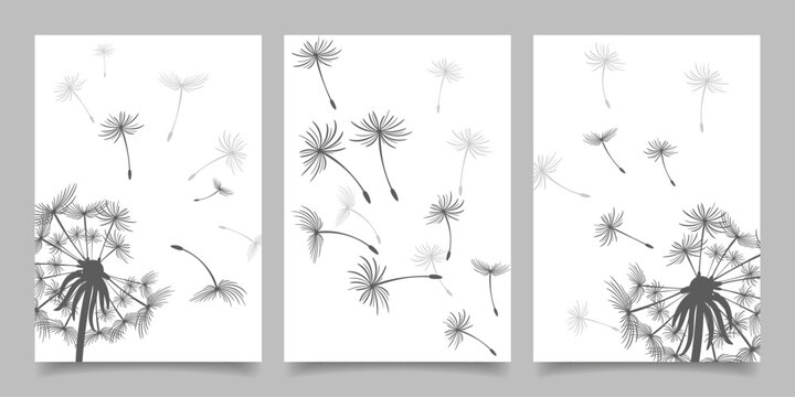 Set of cards, posters with dandelions. Black dandelion seeds fly in the wind. Collection of nature cards. Vector