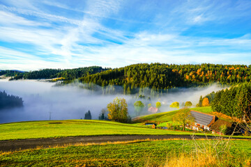 Morning landscape in the Black Forest. Nature with forests and low-lying clouds.
