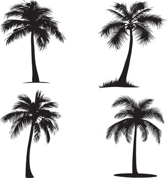 Black palm trees silhouette set isolated on white background