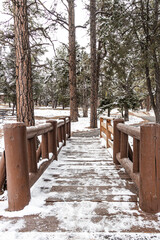 A snow covered bridge leading through a winter scene in a pine forest
