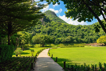 Pathway passes through lush grassy fields amidst a beautiful tranquil nature with the mountains in background. Beautiful view of nature with green grass, lush trees, mountain and sky. Green Landscape.