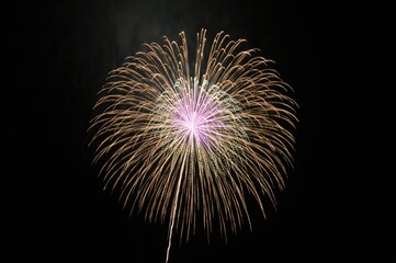 Fototapeta premium 花火