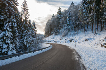 Obraz premium detail of a road in Forest of Cansiglio Belluno Veneto Italy 