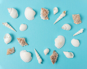 Creative seashell pattern on pastel blue background with copy space. Summer minimal concept.