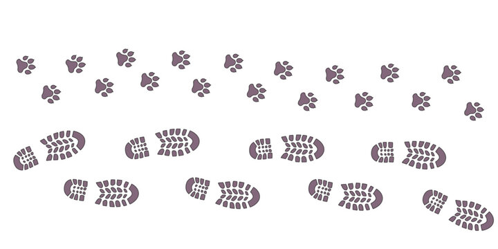 Human step footprints and pawprints paths. Step by step vector isolated on white background. Trace of footprints of person in boots and pawprint. Road of human feet and cat's paws.
