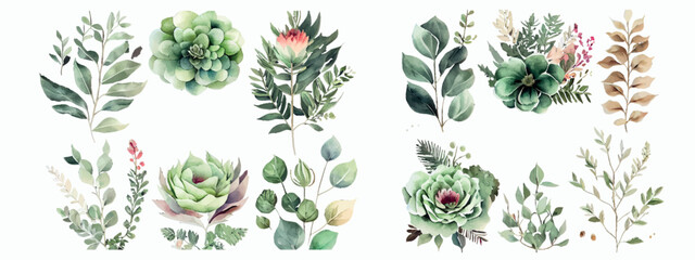 Elegant Collection of Watercolor Greenery and Succulents, Detailed Botanical Illustrations for Invitations, Decor, Art - obrazy, fototapety, plakaty