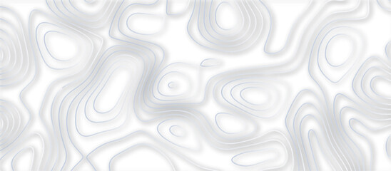 Abstract topographic contours 3d map background .topographic line texture background .monochrome image .stylized height of the topographic map contour in lines.	