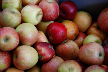 red apples on a market