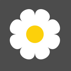 Set of daisy flowers icons isolated on background vector illustration.