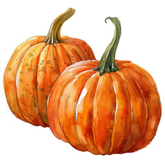 Two Watercolor Orange Pumpkins isolated on white background