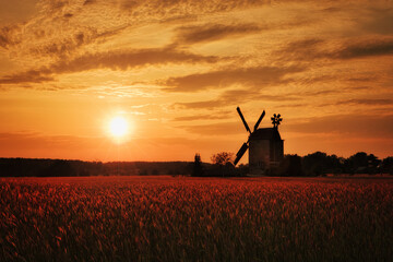 Windmill - Sunset - Farmland - Sunrise - Summer - Countryside - Landscape - Germany - Brandenburg -...