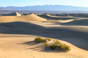 Sand Dunes in California