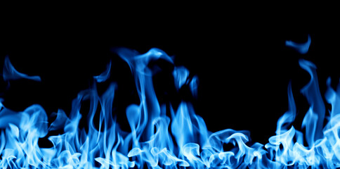 Blue firestorm. Gas Fire burning. Bright burning blue flames on a black background. Wall of Real...