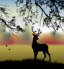 Silhouette of deer in the grass by the oaks. Vector drawing