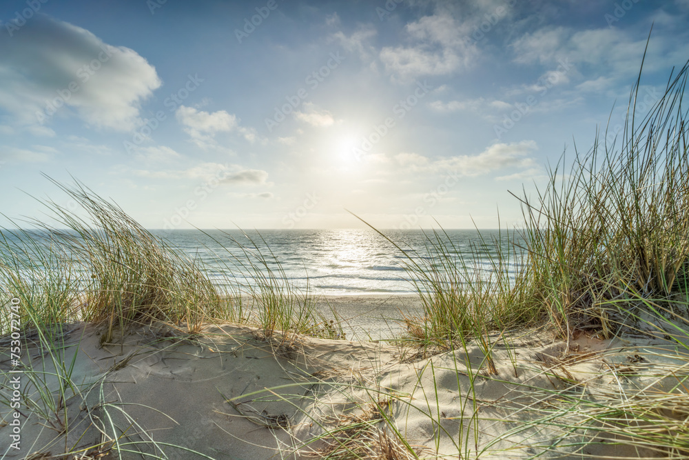 Wall mural sunny day at the beach