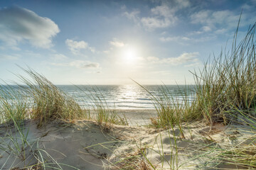 Sunny day at the beach