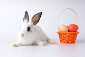 Cute baby rabbit, black and white stripes, lying on a white background. There was a basket of eggs placed nearby. Easter festival. pet concept